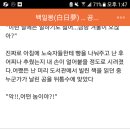 제이퀸 이미지