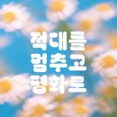 평화로06 이미지
