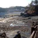 고성자연사박물관 이미지