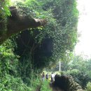 남원읍-50 이미지