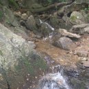 포천청 | 토요일 오전 청계산 매봉 잠간 라이딩 후기(2011.08.06)