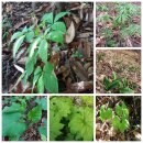 천지농장 이미지