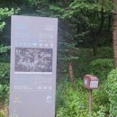 양지천 신평마을 이미지