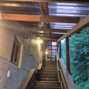 빨강버섯 스머프 | [포천 빨강 버섯 스머프 펜션] 조용하고 힐링 펜션 내돈내산 후기