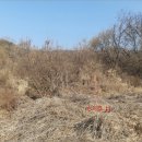 포천삼정초교 이미지