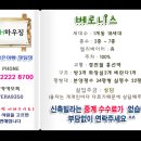 베로니스