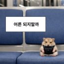 없음 - 80162 | 없음