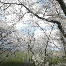 웅동수원지 이미지