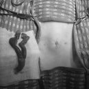 하나카동물병원 이미지