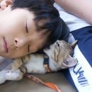 영덕떡집 이미지