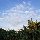 옛날세상 이미지