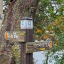 김삿갓 문학동산 기 | 화순 연둔리 숲정이, 500년 역사의 마을 숲 평화로운 풍경!