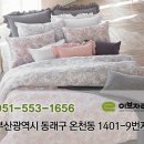 이브자리온천
