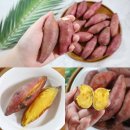 동림농장 이미지