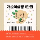 개순이 살롱 이미지