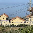 해안동백펜션 이미지