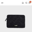 블루아이즈캣 이미지