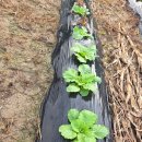 한결농장 이미지