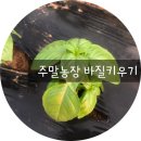 나무네농장 이미지