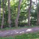 주식회사 힐링팜 이미지