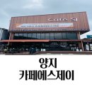 양지 대형 브런치 카페 카페에스제이