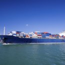 강남국제행정사 이미지