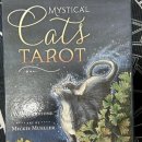 타로로 읽는 하루 | ✨ 레이 키 명상하다가 타로까지 배우게 된 이유 – 미스티 컬 캣 타로 &amp; 더 샤인 선생님 수업 후기 –