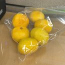 휠판다 | 대구도시개발공사 현장실습 1달차 후기(2)