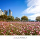 (주)호텔아리나 이미지