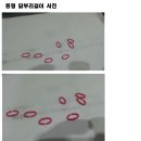 오리안경 이미지
