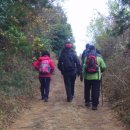 수당목장 이미지