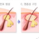 꽃다비 에스테틱 이미지