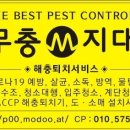개미원룸관리