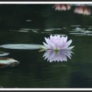 상리공원 이미지