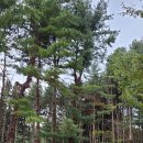 서후리펜션 이미지