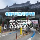 양평 가을 여행지 가볼만한곳 용문산관광단지(용문사 주차, 입장료)