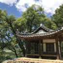 민주지산자연휴양림 이미지