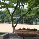 까치울초등학교 이미지