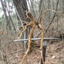 심심산골 이미지