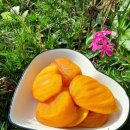 우림농장2 이미지