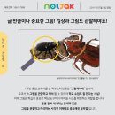 놀작마이아트생각그림미술학원