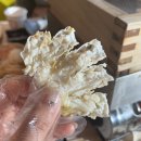 오마이홍게 이미지