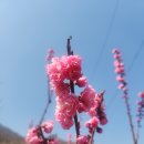 광해루 - 고흥군 천마로 57 | 광해루