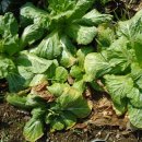 목화소아청소년과의원 이미지