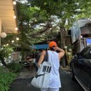 솔내음 백숙 이미지