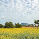 제주와봄 이미지