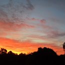 아드레이 이미지