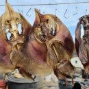 엘림모터 이미지