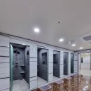 단풍나무짐 이미지