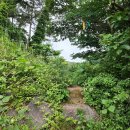 서광초동광분교장 | 제주 안덕 북오름(북악)과 거린오름(거린악) 후기! 제주 동광마을 북쪽과 남쪽 2개의 봉우리 오름...